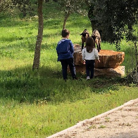 Casas Da Ladeia - Villa 1 Alvorge Εξωτερικό φωτογραφία